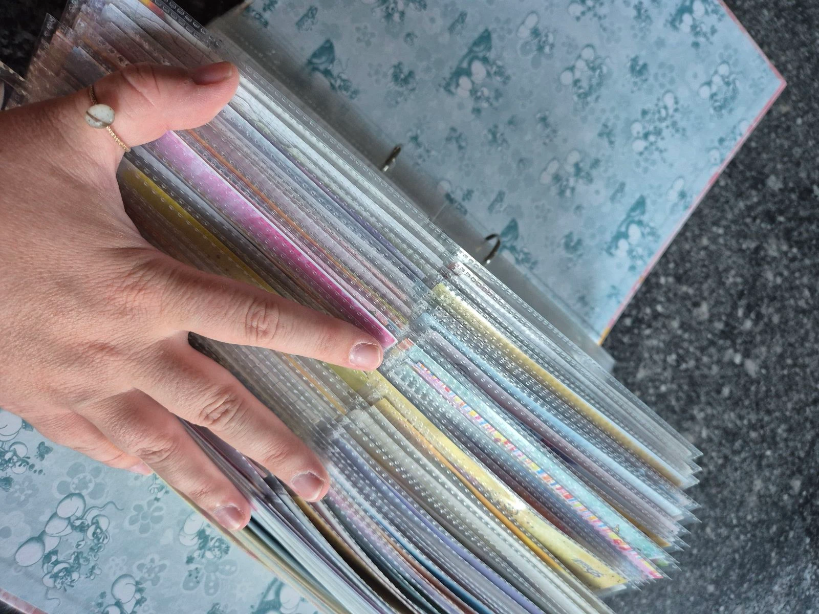 Collection Diddl de classeurs feuilles – photo 2